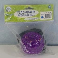 Bargainwizz Toysmith Flashback Rebound Ball
